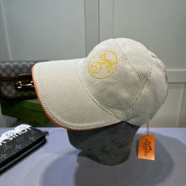 Picture of Hermes Cap _SKUHermesCapdxn072900